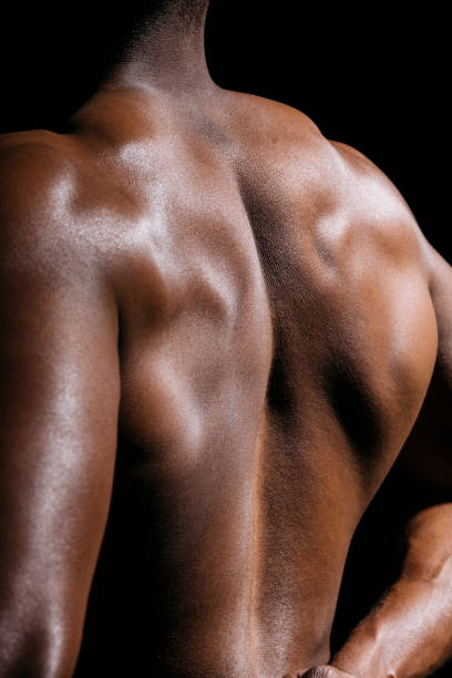 istock Rear view of a flexed back muscular 2157413396