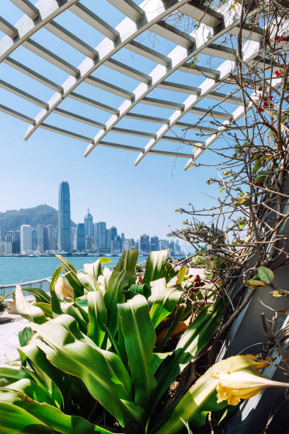istock Harborside Promenade in Kowloon, Hong Kong 2157416980