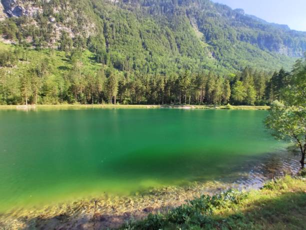 istock Lake in the Mountains 2157418193