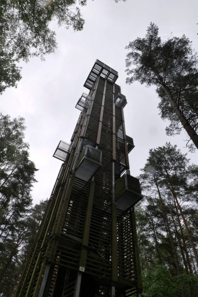 Dzintari, Latvia 06 03 2024 Metal forest observation tower on a cloudy wet day in the public Dzintaru mezaparks forest park.