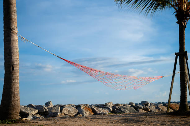 Empty hammock hanging from a coconut tree with a backdrop of blue sky