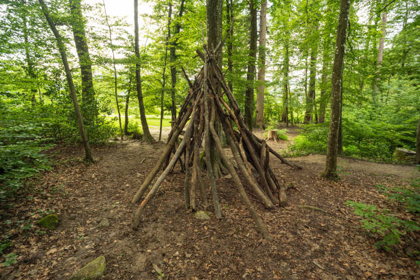istock A hut or basic shelter made out of tree branches or sticks in a forest. Sunny summer day, no people 2157427320