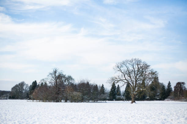 A cold morning with the first snow layer of the season