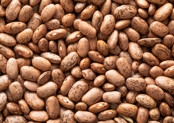 Variegated organic dry raw bean seeds textured background.