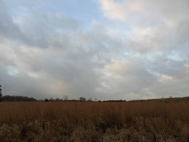istock A dry grass field near a forest with clouds above 2157434015