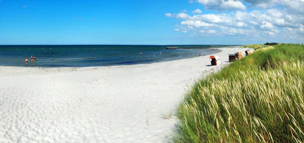 Baltic Sea Beach Panorama - Bathing People