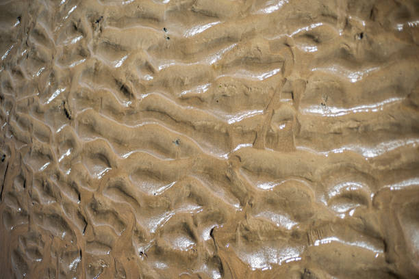 Background top view close up of beach's sand.
