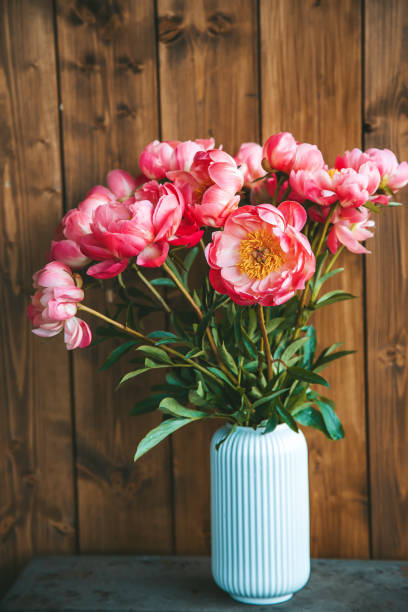 istock Gorgeous pink peonies in a white ribbed vase, with a wooden backdrop 2157441680