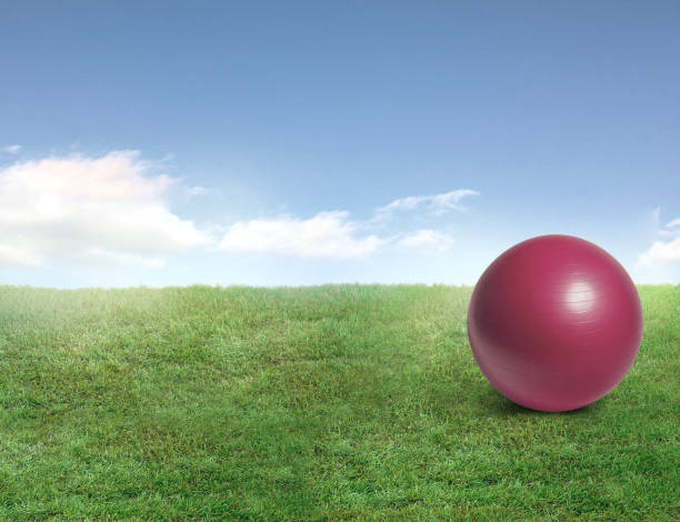 istock Red exercise ball in a backyard with grass lawn 2157442127
