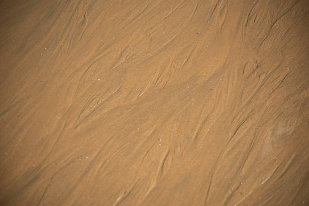 Background top view close up of beach's sand.