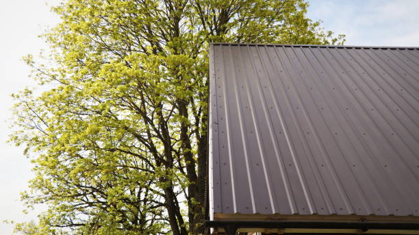 istock Brown metallic roof of house under the spring tree against blue sky 2157443207
