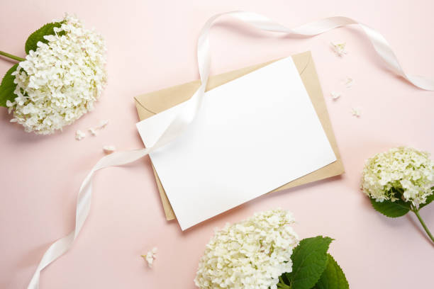 istock White hydrangea flowers and petals on light background. Wedding, birthday table composition. Stationery mockup of place card. Top view, flat lay. Spacefor text. Styled photo. 2157446173