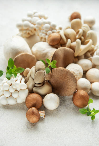 istock Assortment of various mushrooms 2157450477