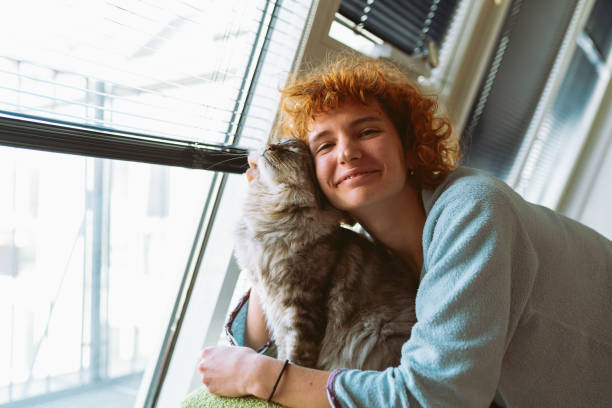 istock cat mom brushes her furry pet 2157451286