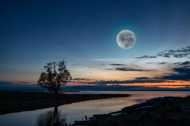 silver clouds with a lone tree and a round moon in the reflection of a lake on a summer night
