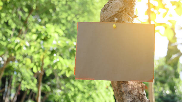 istock The image shows a plain paper sign, entirely blank and ready for any text 2157456720
