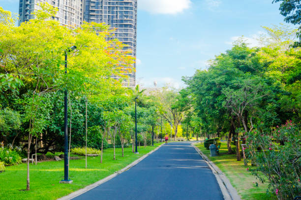 Thai man is running fast on pedestrian walkway in Chatuchak Park. Man is wearing sports clothes and sports shoes. Along both sides are trees.  Man is exiting a curve of footpatk. In curve is pole with cctv cemaras. In background is modern skyline at Phahonyothin Road behind trees. Scene is in northern section of the park in Bangkok.