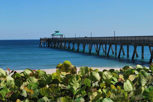 istock The water and landscape of Miami. 2157467111