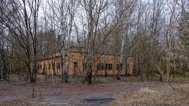 istock A dilapidated building is seen through bare trees, surrounded by fallen leaves. 2157467518