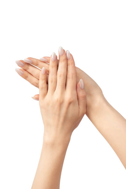 istock Woman hands  isolated on a white background. 2157468835