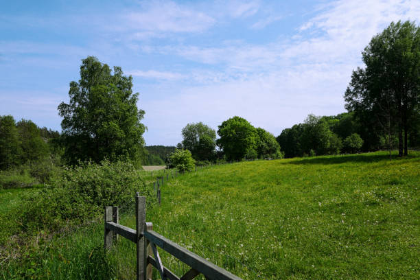 istock Scenic view of a field during summer 2157470450