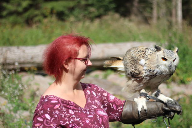 istock A woman is holding an owl in her hands. 2157470820