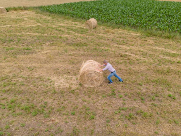 Two children playing outdoors, one boy jumping off a hay bale, other girl walking