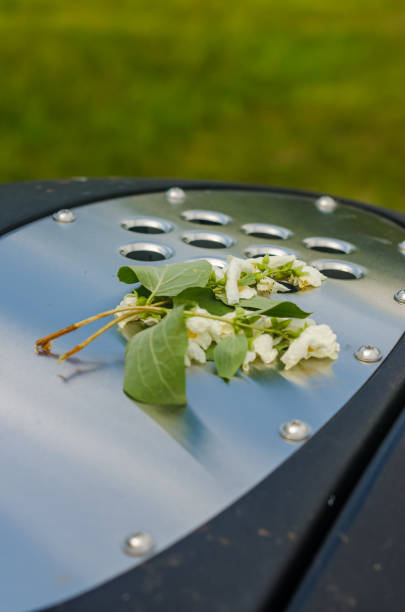 istock A bunch of flowers thrown away in an outdoors public garbage bin 2157472124