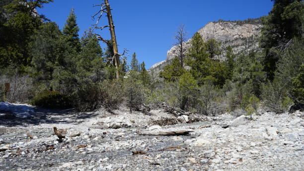 istock Mt Charleston Snow Melting make Streams 2157475962