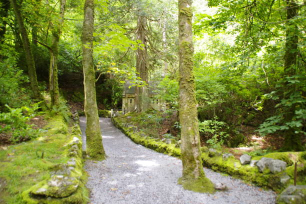 Irish landscape with stone tower