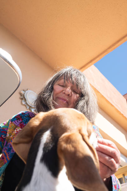 istock senior woman feeding her beagle puppy at home.vertical image.low angle view. 2157479968