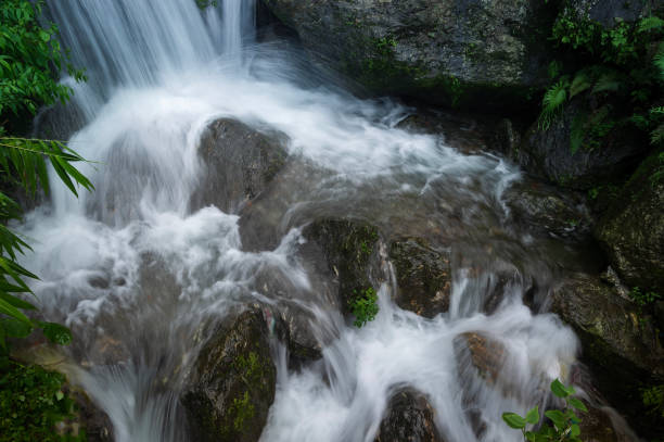 istock Paglajhora waterfall , famous waterfall in monsoon, at Kurseong, Himalayan mountains of Darjeeling, West Bengal, India. Origin of Mahananda River flowing through Mahananda Wildlife Sanctuary. 2157482549
