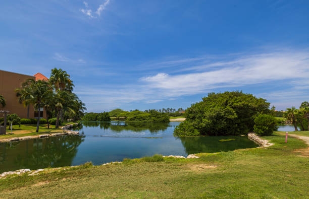 istock Stunning tropical scenery featuring a lake and a golf course set against a backdrop of blue skies with white clouds in Aruba. 2157490044