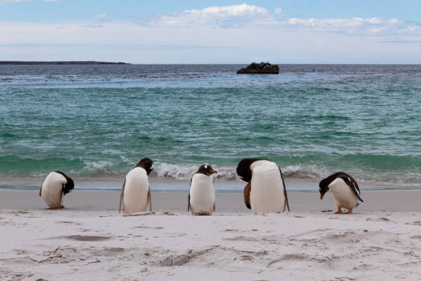 istock Spectacular trip to Antarctica 2157491486