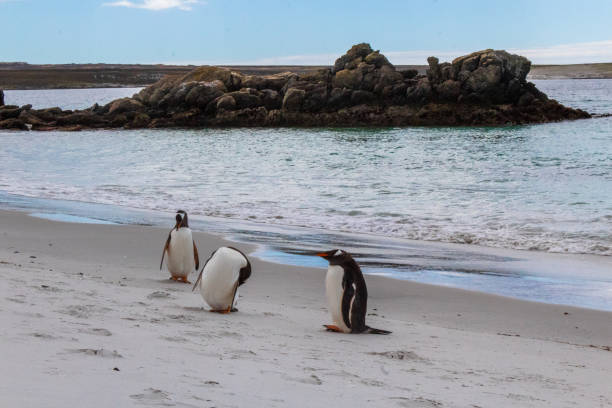 istock Spectacular trip to Antarctica 2157491496