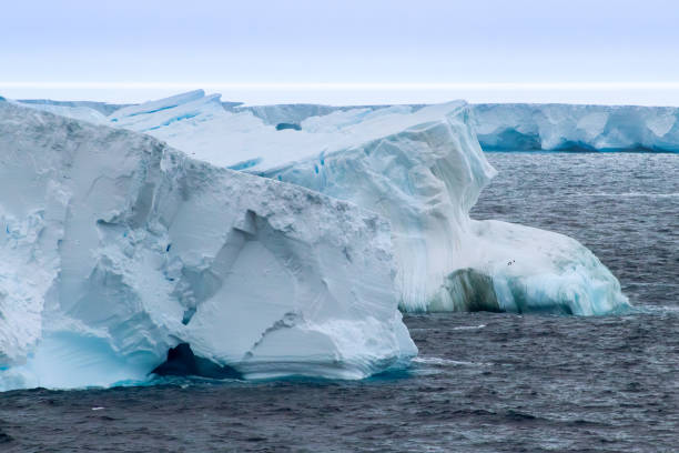 istock Spectacular trip to Antarctica 2157491519
