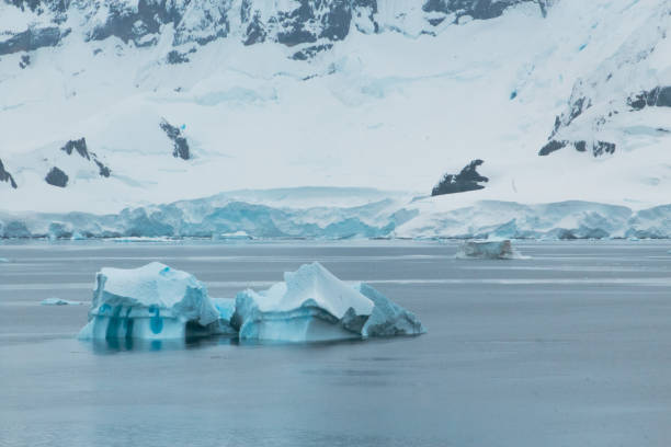 Beautiful and cold white Antarctica