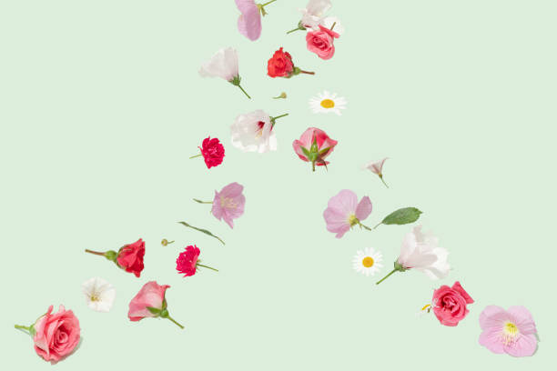 istock Flowers on a green background. 2157491610