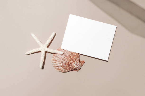 istock Blank sea inspired small card 2157491823