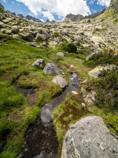 istock Beautiful summer landscapes 2157492519