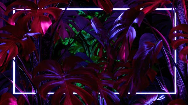 istock Abstract background of monstera leaves with led neon light 2157498081