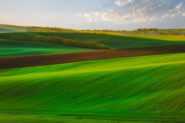 istock Fairy Minimalistic Landscape with Rolling Green Fields in South Moravia, Czech Republic 2157499495