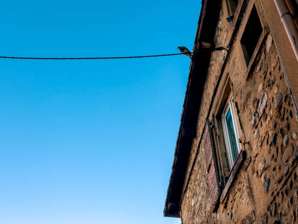 Pigeons on a cable isolated on a blue sky with white clouds
