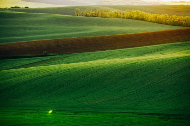 istock Fairy Minimalistic Landscape with Rolling Green Fields in South Moravia, Czech Republic 2157502133