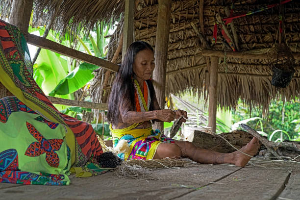 On 09-14-2017, woman weaving a basket at Laurel, Embera Wounaan indigenous community located about 250 km from the capital city of Panama, in the Darién jungle on the banks of the Lara river.Some 45 people decided to found this small community with the hope of conserving their customs and traditions. The same expects to subsist in agriculture and fishing as it has always been but with the hope of being able to receive visitors who want to live with them their traditions and the sale of their crafts.The Embera-Wounaan are a people who live and work around rivers. They build their canoes (pirogues) with espavé wood, hawthorn cedar and yellow pine. The indigenous people are excellent goldsmiths and wood carvers. Women make basketry items; baskets, mats and decorations.