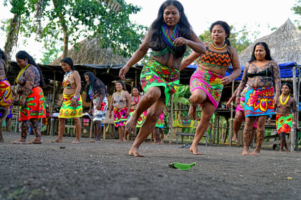 On 02-05-2017 at Laurel, Embera Wounaan indigenous community located about 250 km from the capital city of Panama, in the Darién jungle on the banks of the Lara river.Some 45 people decided to found this small community with the hope of conserving their customs and traditions. The same expects to subsist in agriculture and fishing as it has always been but with the hope of being able to receive visitors who want to live with them their traditions and the sale of their crafts.The Embera-Wounaan are a people who live and work around rivers. They build their canoes (pirogues) with espavé wood, hawthorn cedar and yellow pine. The indigenous people are excellent goldsmiths and wood carvers. Women make basketry items; baskets, mats and decorations.