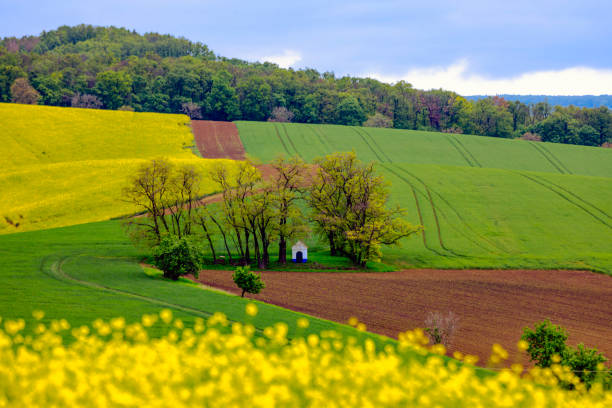 Panoramablick über Taunusstein im Taunus - im Vordergrund ein Rapsfeld und im Hintergrund die Stadtteile Hahn und Bleidenstadt und der Berg Hohe Wurzel