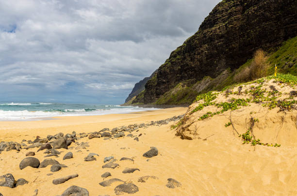 Small Rocks Along The Sandy Shoreline Below The Na Pali Cliffs, Polihale Beach, Polihale Beach State Park, Kauai, Hawaii, USA