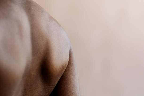 istock Rear view of a flexed back muscular 2157511852