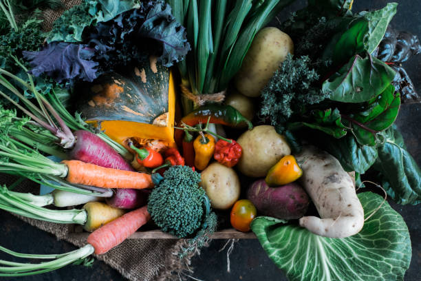 istock Organic Food - Meat & Vegetable 2157516250